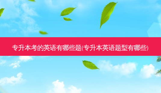 专升本考的英语有哪些题(专升本英语题型有哪些)-第1张图片-天智网 专升本考的英语有哪些题(专升本英语题型有哪些)-第1张图片-天智网
