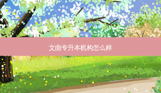 文曲专升本机构怎么样-第1张图片-天智网 文曲专升本机构怎么样-第1张图片-天智网