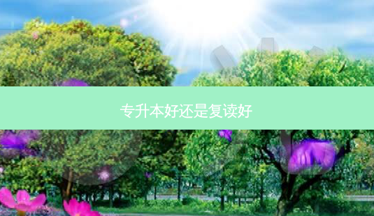 专升本好还是复读好-第1张图片-天智网 专升本好还是复读好-第1张图片-天智网