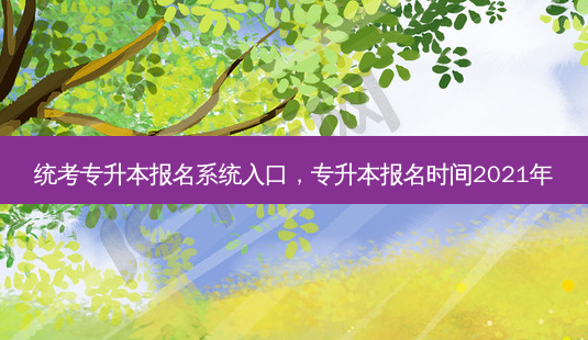 统考专升本报名系统入口，专升本报名时间2021年-第1张图片-汇成专升本网