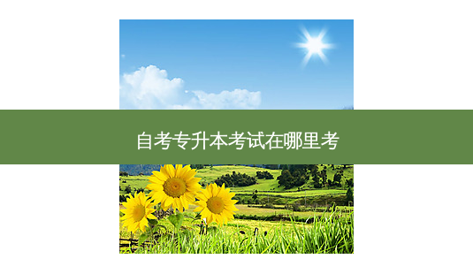 自考专升本考试在哪里考-第1张图片-天智网 自考专升本考试在哪里考-第1张图片-天智网