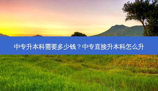 中专升本科需要多少钱?中专直接升本科怎么升-第1张图片-天智网 中专升本科需要多少钱?中专直接升本科怎么升-第1张图片-天智网