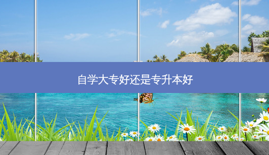 自学大专好还是专升本好-第1张图片-天智网 自学大专好还是专升本好-第1张图片-天智网