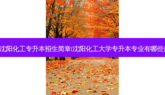 沈阳化工专升本招生简章(沈阳化工大学专升本专业有哪些)-第1张图片-天智网 沈阳化工专升本招生简章(沈阳化工大学专升本专业有哪些)-第1张图片-天智网