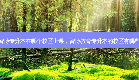 智博专升本在哪个校区上课,智博教育专升本的校区有哪些-第1张图片-天智网 智博专升本在哪个校区上课,智博教育专升本的校区有哪些-第1张图片-天智网