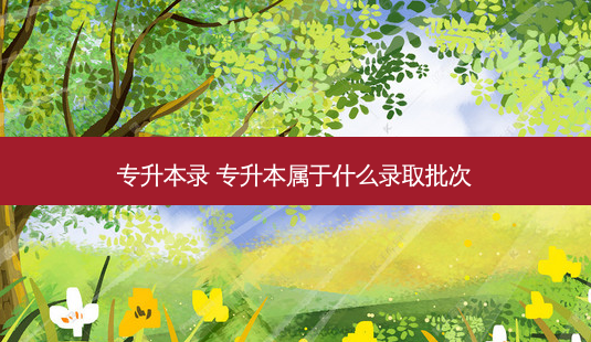 专升本录 专升本属于什么录取批次-第1张图片-天智网 专升本录 专升本属于什么录取批次-第1张图片-天智网