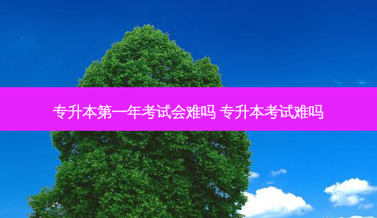 专升本之一年考试会难吗 专升本考试难吗-第1张图片-天智网 专升本之一年考试会难吗 专升本考试难吗-第1张图片-天智网