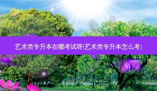 艺术类专升本在哪考试呀(艺术类专升本怎么考)-第1张图片-天智网 艺术类专升本在哪考试呀(艺术类专升本怎么考)-第1张图片-天智网