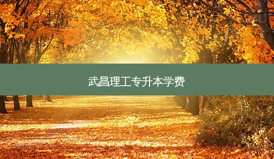 武昌理工专升本学费-第1张图片-天智网 武昌理工专升本学费-第1张图片-天智网