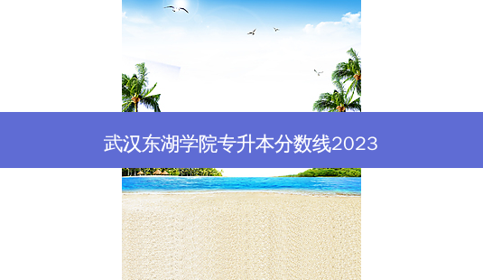 武汉东湖学院专升本分数线2023-第1张图片-汇成专升本网
