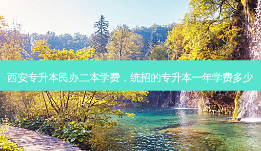 西安专升本民办二本学费,统招的专升本一年学费多少-第1张图片-天智网 西安专升本民办二本学费,统招的专升本一年学费多少-第1张图片-天智网