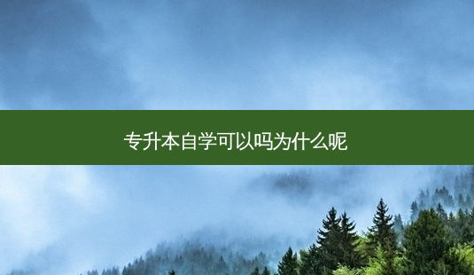 专升本自学可以吗为什么呢-第1张图片-天智网 专升本自学可以吗为什么呢-第1张图片-天智网
