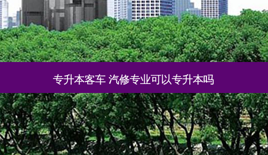 专升本客车 汽修专业可以专升本吗-第1张图片-天智网 专升本客车 汽修专业可以专升本吗-第1张图片-天智网