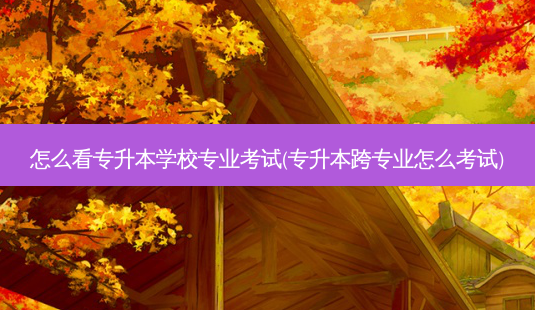 怎么看专升本学校专业考试(专升本跨专业怎么考试)-第1张图片-天智网 怎么看专升本学校专业考试(专升本跨专业怎么考试)-第1张图片-天智网