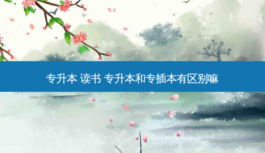 专升本 读书 专升本和专插本有区别嘛-第1张图片-天智网 专升本 读书 专升本和专插本有区别嘛-第1张图片-天智网