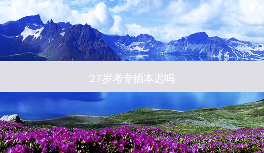 27岁考专插本迟吗-第1张图片-天智网 27岁考专插本迟吗-第1张图片-天智网