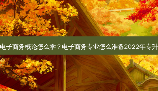 专升本电子商务概论怎么学？电子商务专业怎么准备2022年专升本考试-第1张图片-汇成专升本网