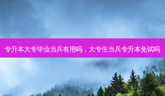 专升本大专毕业当兵有用吗，大专生当兵专升本免试吗-第1张图片-汇成专升本网