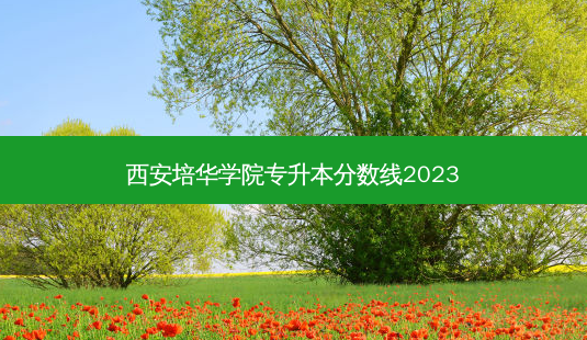 西安培华学院专升本分数线2023-第1张图片-汇成专升本网