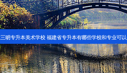 福建三明专升本美术学校 福建省专升本有哪些学校和专业可以选择-第1张图片-汇成专升本网