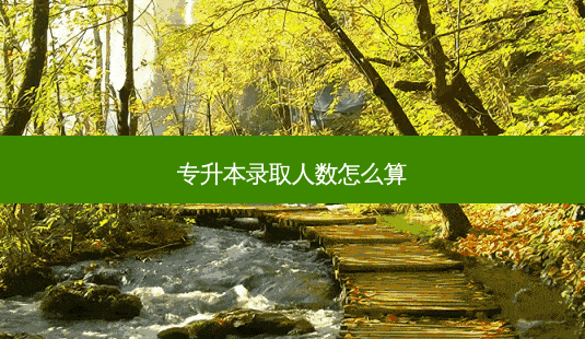 专升本录取人数怎么算-第1张图片-天智网 专升本录取人数怎么算-第1张图片-天智网
