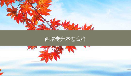 西培专升本怎么样-第1张图片-天智网 西培专升本怎么样-第1张图片-天智网