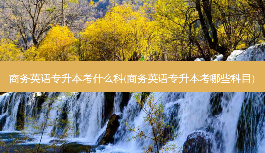 商务英语专升本考什么科(商务英语专升本考哪些科目)-第1张图片-天智网 商务英语专升本考什么科(商务英语专升本考哪些科目)-第1张图片-天智网