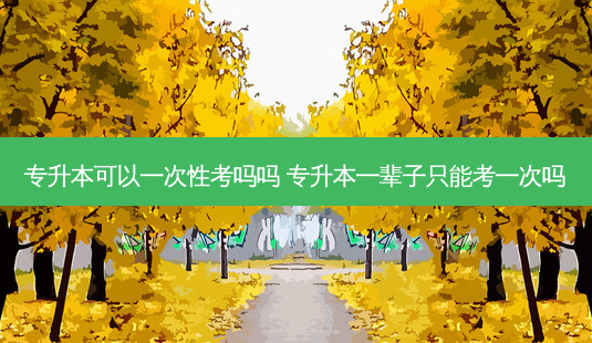 专升本可以一次性考吗吗 专升本一辈子只能考一次吗-第1张图片-天智网 专升本可以一次性考吗吗 专升本一辈子只能考一次吗-第1张图片-天智网