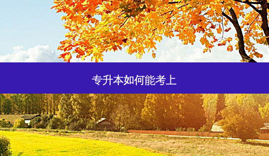 专升本如何能考上-第1张图片-天智网 专升本如何能考上-第1张图片-天智网