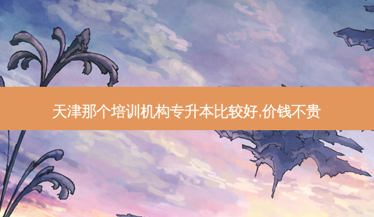 天津那个培训机构专升本比较好,价钱不贵-第1张图片-天智网 天津那个培训机构专升本比较好,价钱不贵-第1张图片-天智网