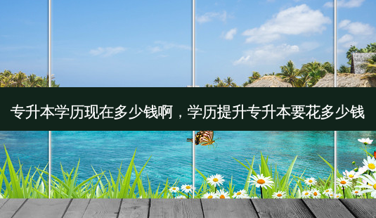 专升本学历现在多少钱啊,学历提升专升本要花多少钱-第1张图片-天智网 专升本学历现在多少钱啊,学历提升专升本要花多少钱-第1张图片-天智网