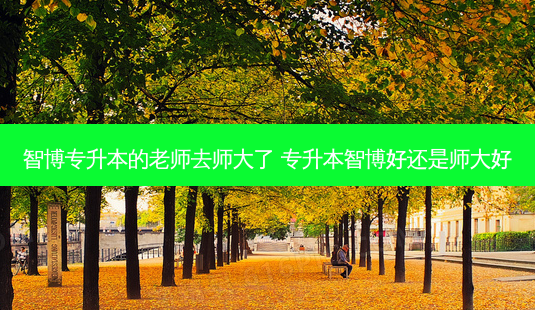 智博专升本的老师去师大了 专升本智博好还是师大好-第1张图片-天智网 智博专升本的老师去师大了 专升本智博好还是师大好-第1张图片-天智网