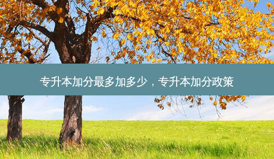 专升本加分 *** 多加多少,专升本加分政策-第1张图片-天智网 专升本加分 *** 多加多少,专升本加分政策-第1张图片-天智网