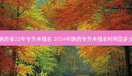陕西省22年专升本报名 2024年陕西专升本报名时间是多少-第1张图片-汇成专升本网