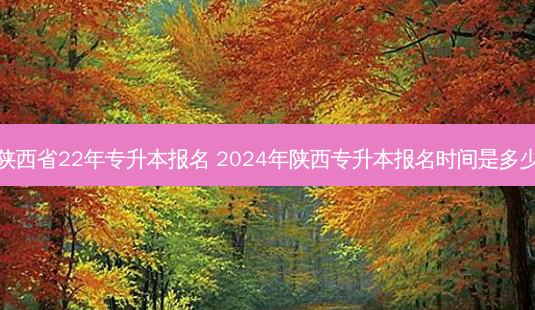 陕西省22年专升本报名 2024年陕西专升本报名时间是多少-第1张图片-天智网 陕西省22年专升本报名 2024年陕西专升本报名时间是多少-第1张图片-天智网