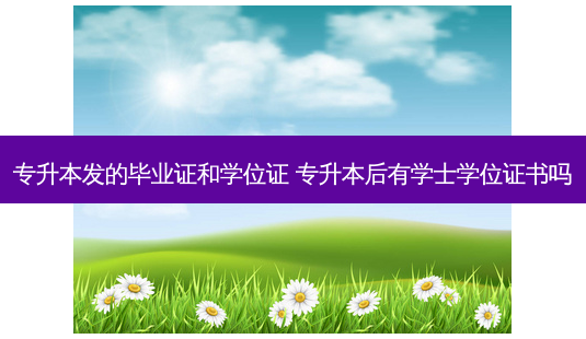 专升本发的毕业证和学位证 专升本后有学士学位证书吗-第1张图片-天智网 专升本发的毕业证和学位证 专升本后有学士学位证书吗-第1张图片-天智网