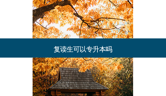 复读生可以专升本吗-第1张图片-天智网 复读生可以专升本吗-第1张图片-天智网