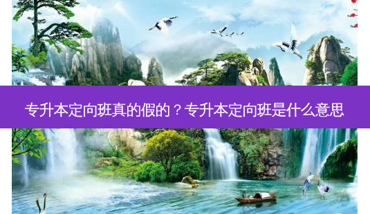 专升本定向班真的假的?专升本定向班是什么意思-第1张图片-天智网 专升本定向班真的假的?专升本定向班是什么意思-第1张图片-天智网