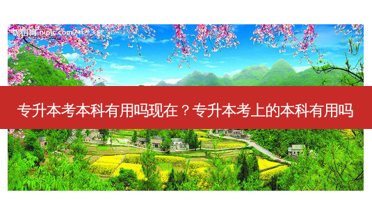 专升本考本科有用吗现在?专升本考上的本科有用吗-第1张图片-天智网 专升本考本科有用吗现在?专升本考上的本科有用吗-第1张图片-天智网