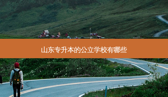 山东专升本的公立学校有哪些-第1张图片-天智网 山东专升本的公立学校有哪些-第1张图片-天智网