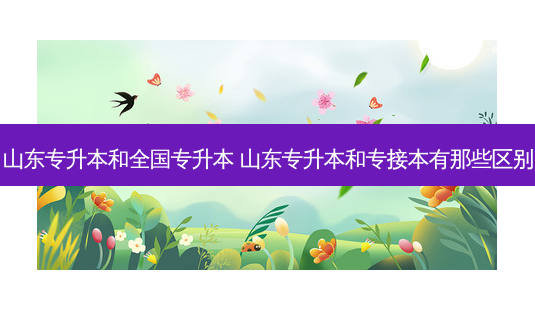山东专升本和全国专升本 山东专升本和专接本有那些区别-第1张图片-天智网 山东专升本和全国专升本 山东专升本和专接本有那些区别-第1张图片-天智网
