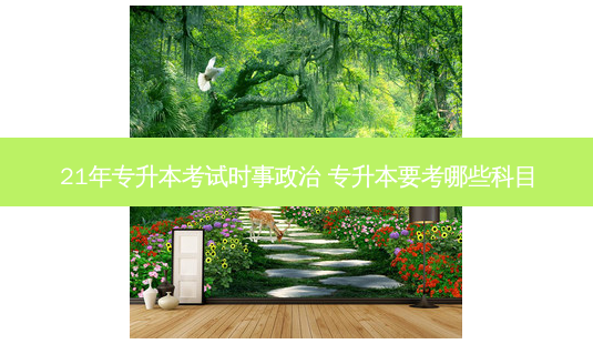 21年专升本考试时事政治 专升本要考哪些科目-第1张图片-天智网 21年专升本考试时事政治 专升本要考哪些科目-第1张图片-天智网