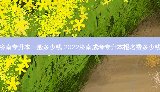 济南专升本一般多少钱 2022济南成考专升本报名费多少钱-第1张图片-汇成专升本网