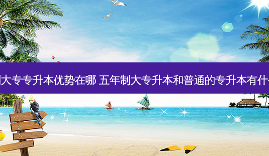 五年制大专专升本优势在哪 五年制大专升本和普通的专升本有什么差别-第1张图片-天智网 五年制大专专升本优势在哪 五年制大专升本和普通的专升本有什么差别-第1张图片-天智网