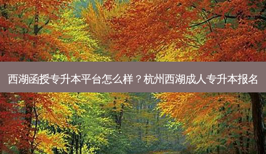 西湖函授专升本平台怎么样?杭州西湖成人专升本报名-第1张图片-天智网 西湖函授专升本平台怎么样?杭州西湖成人专升本报名-第1张图片-天智网
