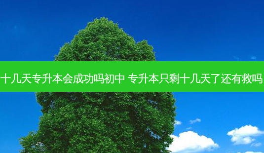 十几天专升本会成功吗初中 专升本只剩十几天了还有救吗-第1张图片-汇成专升本网