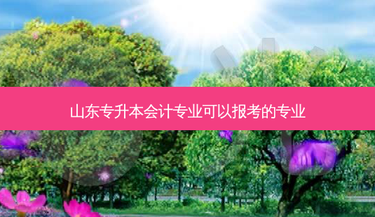 山东专升本会计专业可以报考的专业-第1张图片-天智网 山东专升本会计专业可以报考的专业-第1张图片-天智网