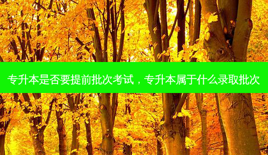 专升本是否要提前批次考试,专升本属于什么录取批次-第1张图片-天智网 专升本是否要提前批次考试,专升本属于什么录取批次-第1张图片-天智网