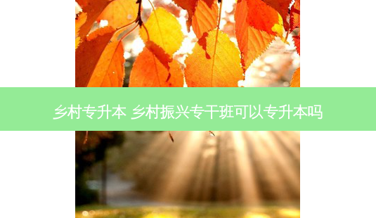 乡村专升本 乡村振兴专干班可以专升本吗-第1张图片-天智网 乡村专升本 乡村振兴专干班可以专升本吗-第1张图片-天智网