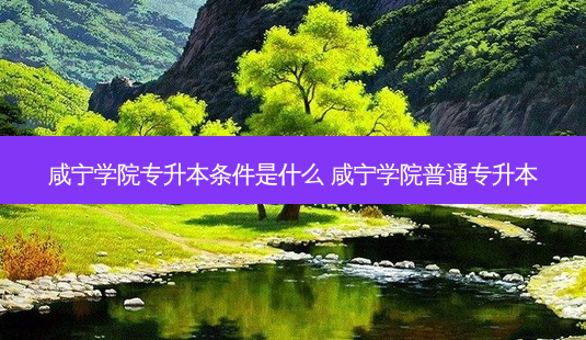 咸宁学院专升本条件是什么 咸宁学院普通专升本-第1张图片-天智网 咸宁学院专升本条件是什么 咸宁学院普通专升本-第1张图片-天智网